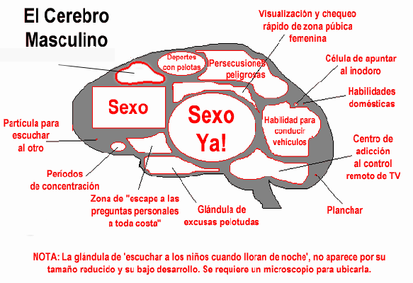 Pensamiento Masculino